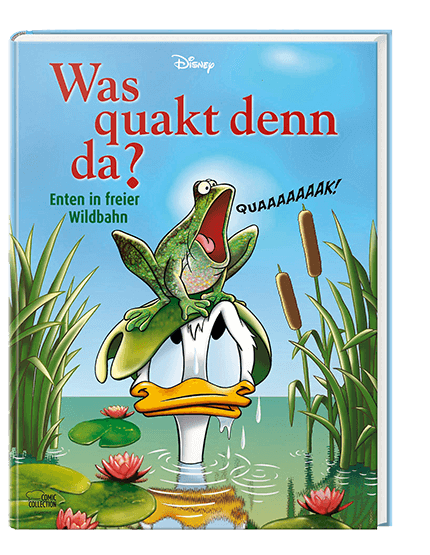 Was quakt denn da? - Enten in freier Wildbahn